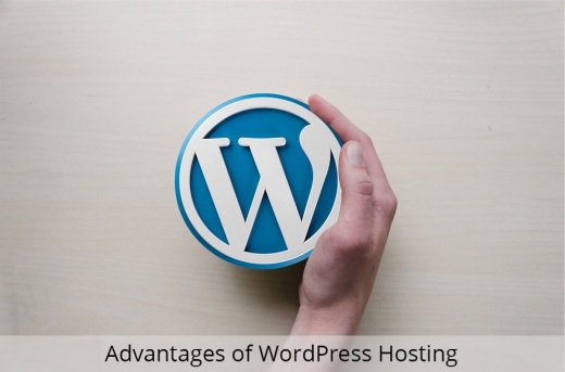 7-Advantages-of-WordPress-hosting